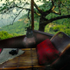 Image for article titled Bellavista's Biodigesting Treehouses Are Endor on Earth